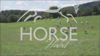 Horse Habit TV  S1 E2