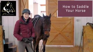 JS Horsemanship How To Saddle Your Horse