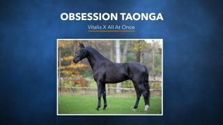 38. Obsession Taonga