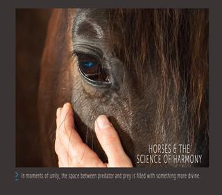  Horses and the Science of Harmony - A Documentary