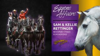 Sam & Kellie Rettinger OF Whispery Pines Percherons Equine Affaire Interview with Diana De Rosa