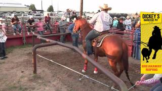 Hell on Wheels Rodeo June 28, 2024 - Part III