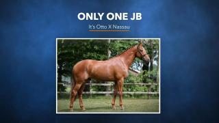 Only One JB - It's Otto X Nassau
