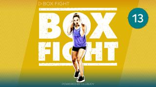 BoxFight 13