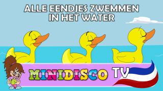 Alle Eendjes Zwemmen In Het Water