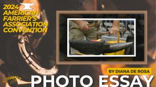 Photo Essay On the Scene at the 2024 American Farrier's Association Convention with Diana De Rosa