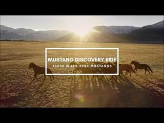 5000 Miles - 5000 Mustangs Episode 7  Lisa Diersen Interview