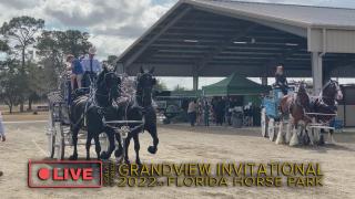 EQUUS Television coverage of  Grandview Invitational in Ocala FL