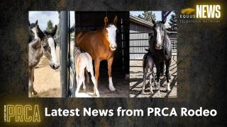 Latest PRCA Rodeo News, Week of June 5th, 2023