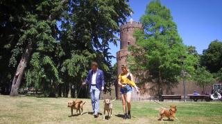 Huisdieren TV | 3.10 | Het verschil tussen natuurlijk en regulier voer