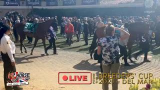 Breeders' Cup Paddock Prep for Filly & Mare Race Part 2