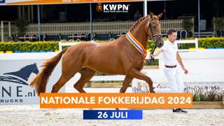 KWPN Kampioenschappen - Willem-Alexanderhal
