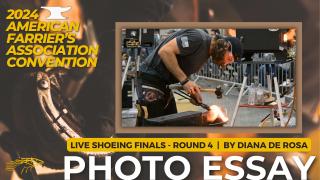 AFA Live Shoeing Finals Round 4 Photo Essay - 2024 American Farrier's Association Convention by Diana De Rosa