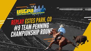 USTPA #9 Team Penning Championship Round Estes Park, CO June 25, 2022