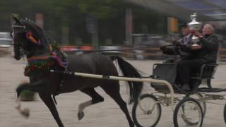 Icanita topsportmerrie van 2019 met rijder Leendert Veerman