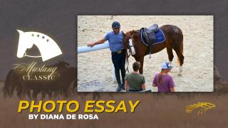 Mustang Classic - Photo Essay by Diana De Rosa