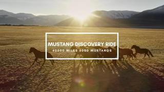 5000 Miles - 5000 Mustangs Episode 5 Patricia Milligan Interview