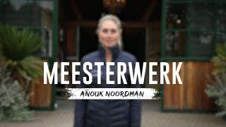 Meesterwerk - Anouk Noordman