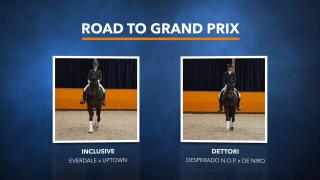 Road 2 the Grand Prix - Deel 2