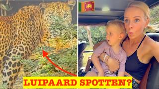 WAT ZAGEN WE DAAR NOU IN DE BOSJES?! π- LUIPAARD JACHT op SAFARI! | Bellinga Vlog #3381