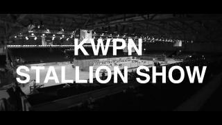 KWPN Stallion show 2022 promo NL