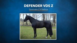 Defender VDS Z - Dominator Z x Padinus