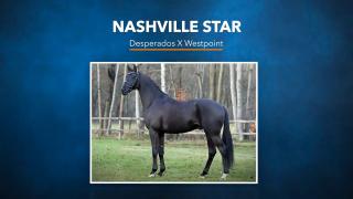 Nashville Star - Desparados x westpoint 