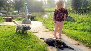 VALT WOEZEL DEZE POES AAN OF NiET? | Bellinga Vlog #1861