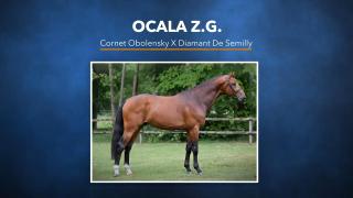 Ocala Z.G. - Cornet Obolensky X Diamant de Semilly