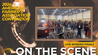 On the Scene at the 2024 American Farrier's Association Convention with Diana De Rosa