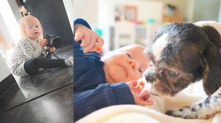 LUXY VLOGT STiEKEM & PiP REAGEERT OP HUiLDENDE BABY | Bellinga Vlog #2220