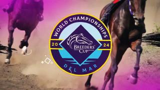 Breeder's Cup 2024 Coverage with Louisa Barton