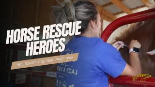 Bootcamp Together Part 2  - Horse Rescue Heroes S4E9