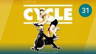 Cycle 31