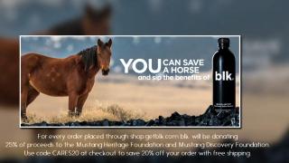 Save a Horse when you drink a blk.