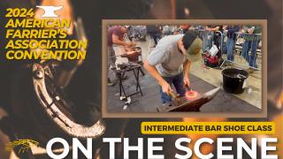 On the Scene at the 2024 American Farrier's Association Convention with Diana De Rosa