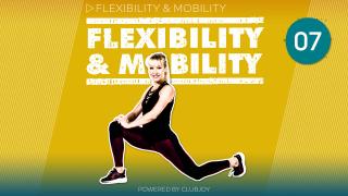 Flexibility & Mobility 07