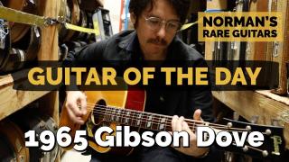 Guitar of the Day: 1965 Gibson Dove | Norman's Rare Guitars