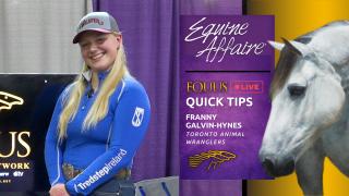 QUICK TIP - Franny Galvin-Hynes of Toronto Animal Wranglers - 2023 EQUINE AFFAIRE.