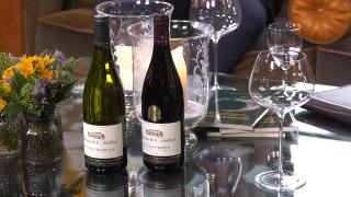 Ondernemerslounge (RTL7/Z) | 6.4.01 | Introductie met wijn van Vinyo