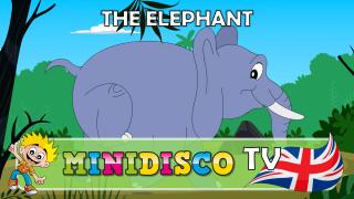 The Elephant