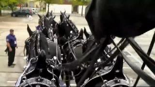 Young Percherons on Speaking of Horses