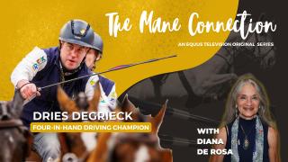 Dries Degrieck (BEL) Four-in-Hand Driving Champion - Interview with Diana De Rosa : The Mane Connection