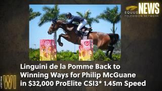 Linguini de la Pomme Back to Winning Ways for Philip McGuane in $32,000 ProElite CSI3 1.45m Speed