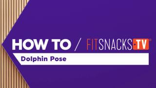 How To Dolphin Pose