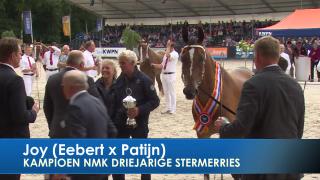 Finale driejarige stermerries