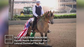 Equine Hanna Somatics Part 2: Lateral Flexion of The Neck