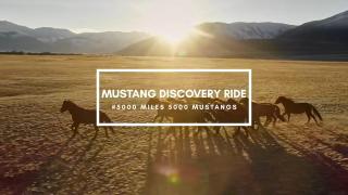 5000 Miles - 5000 Mustangs Episode 6 Chris Schwope Interview