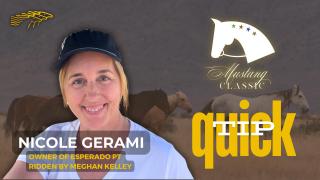 Mustang Classic QUICK TIP - Nicole Gerami Owner of Esperado PT Ridden by Meghan Kelley