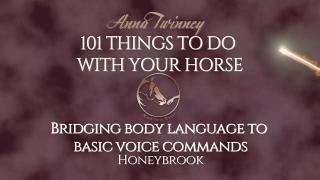 101 Things To Do With Your Horse - Bridging Body Language 